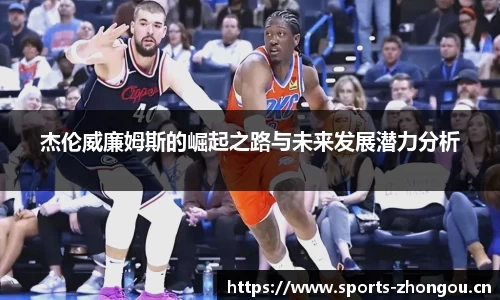 中欧体育平台