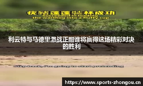 中欧体育官方网站